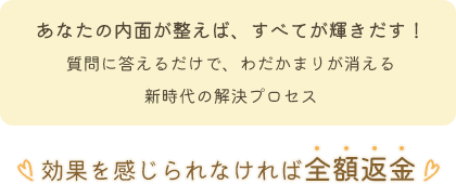 あなたの内面が整えば、すべてが輝きだす！質問に答えるだけで、わだかまりが消える新時代の解決プロセス 効果を感じられなければ全額返金